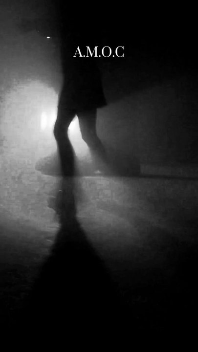 Goth synthpop from Yorkshire A Murder of Crows