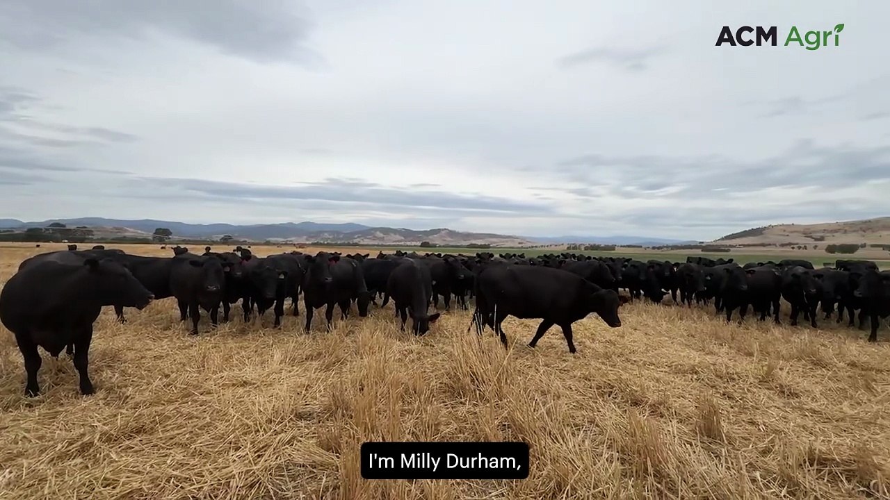 First-time winners claim 2026 Beef Spectacular Feedback Trial trophy