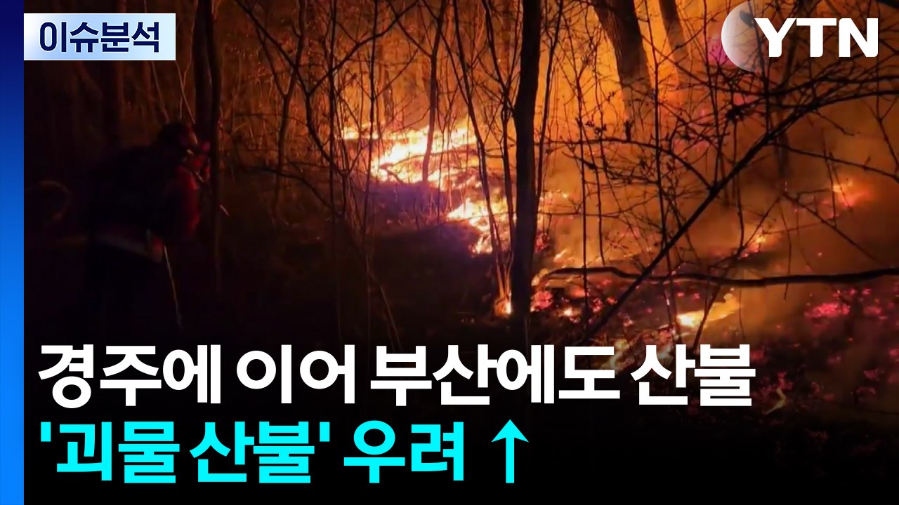 [뉴스UP] 경주에 이어 부산에도 산불...'괴물 산불' 우려 ↑ / YTN