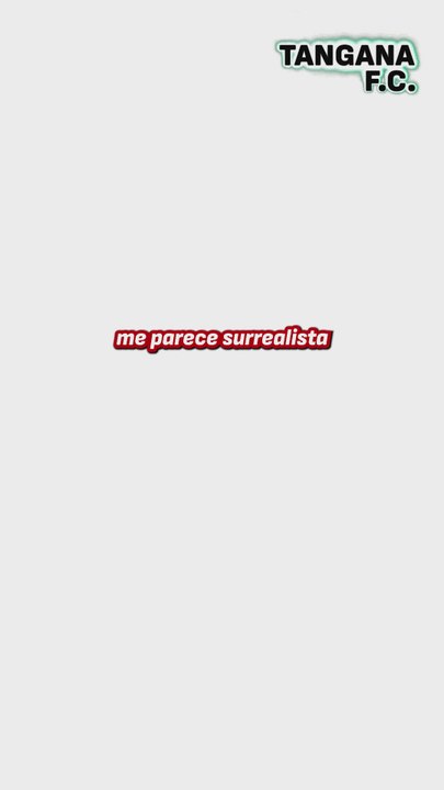 VERTICAL PALITO A ARBELOA