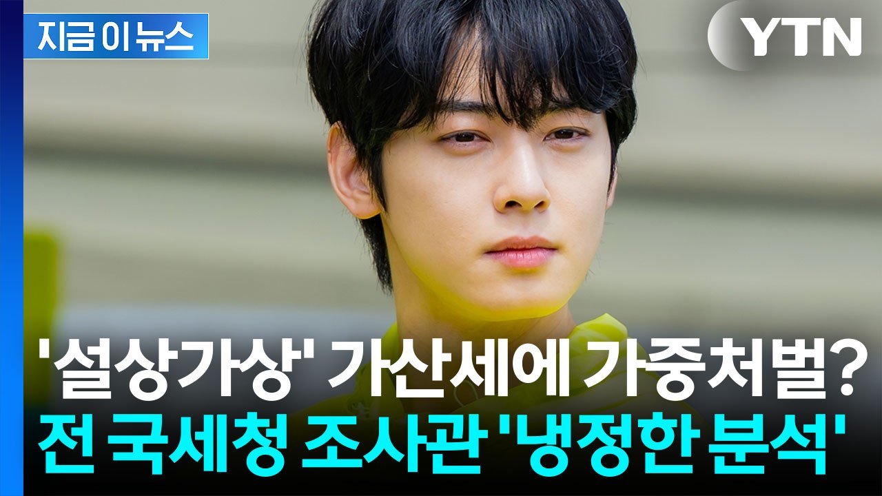 "이례적" 차은우 의혹 분석하더니...전 국세청 조사관 "가중처벌 가능성" [지금이뉴...