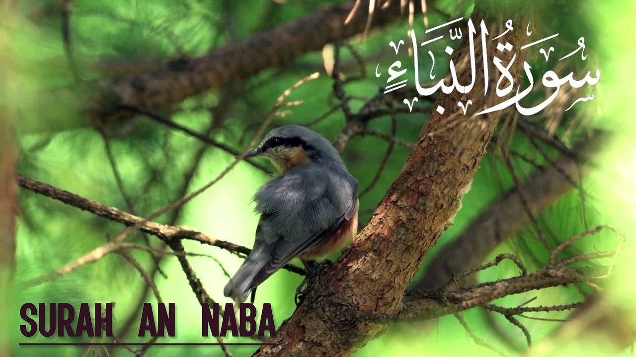 Surah An-Naba La sourate An-Naba (Les Nouvelles) Abbasi Quran Studio