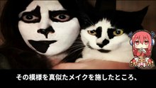 【豆知識】見た目が変なキュートな動物たち　【Trivia News】Adorable Animals with Unusual Looks