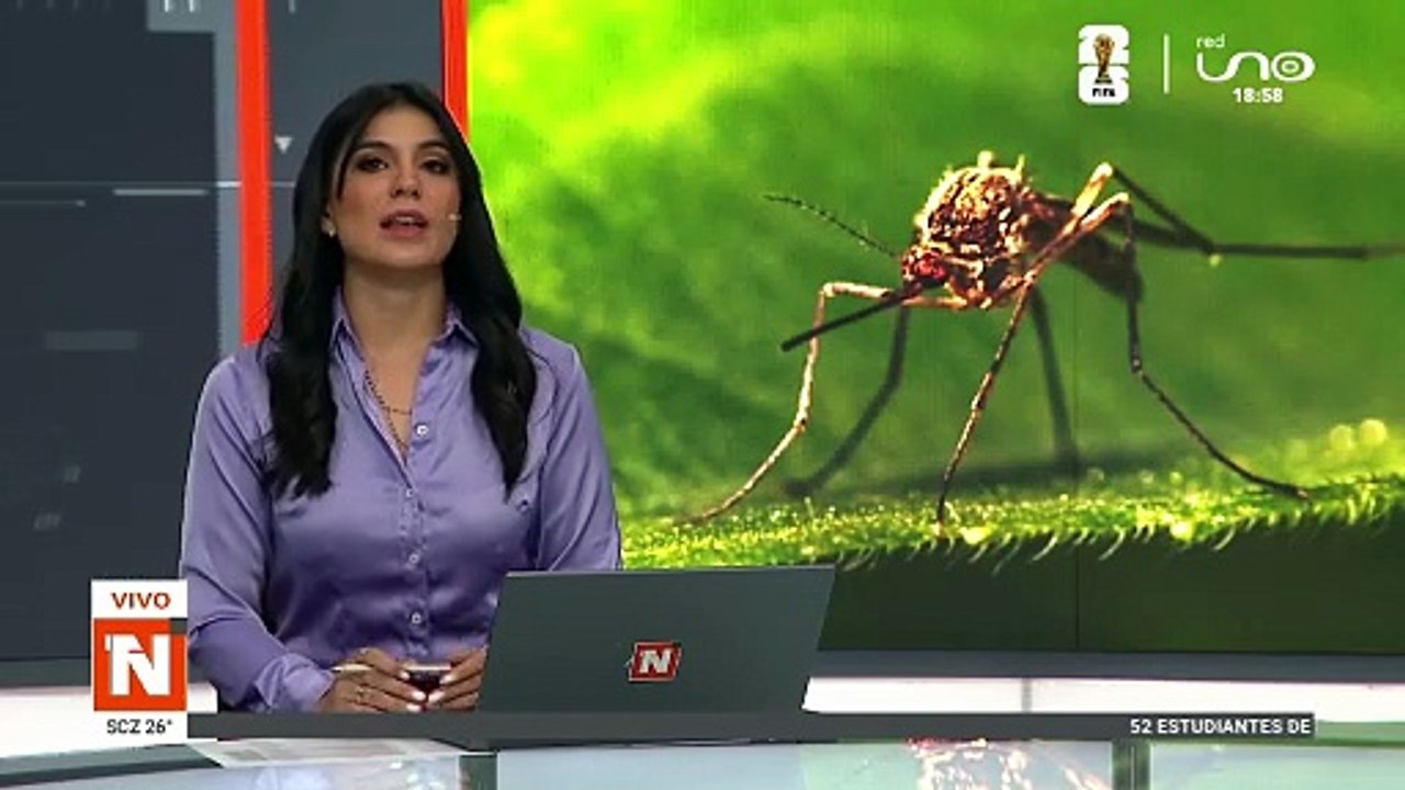 52 ESTUDIANTES CON SINTOMAS DE DENGUE Y CHIKUNGUNYA