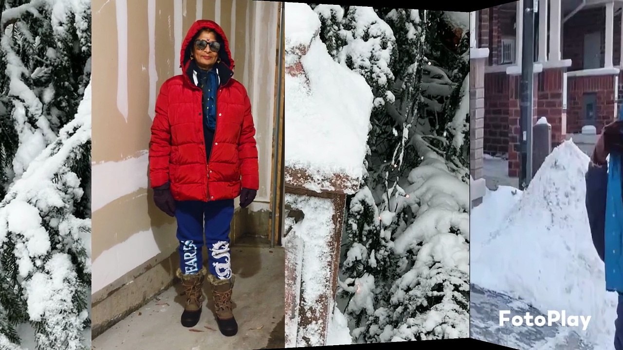 O Sanam Tere Ho Gayen Hum by Chitralekha Dixit