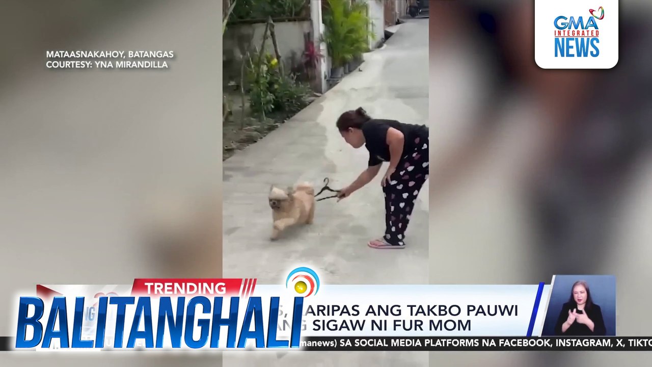 Asong tumakas, karipas ang takbo pauwi nang marinig ang sigaw ni fur mom | Balitanghali
