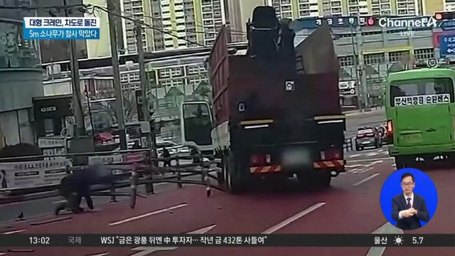 왕복 9차로 돌진한 대형 크레인…5m 소나무가 참사 막았다