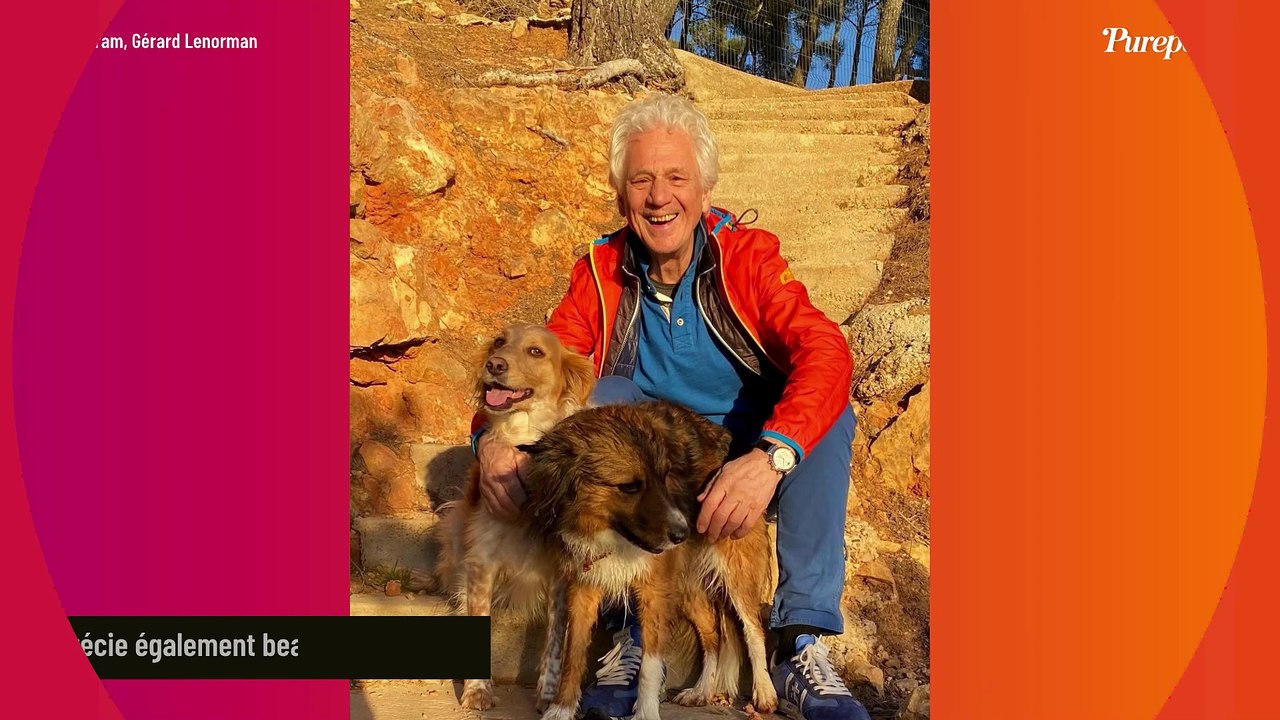 EXCLU La nouvelle vie de Gérard Lenorman et sa femme dans une belle maison près de Sanary-sur-Mer : le chanteur "bien acclimaté au territoire"