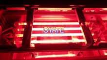 infrared halogen heater lamp infrared emitter 480mm 1000w ruby heat lamps