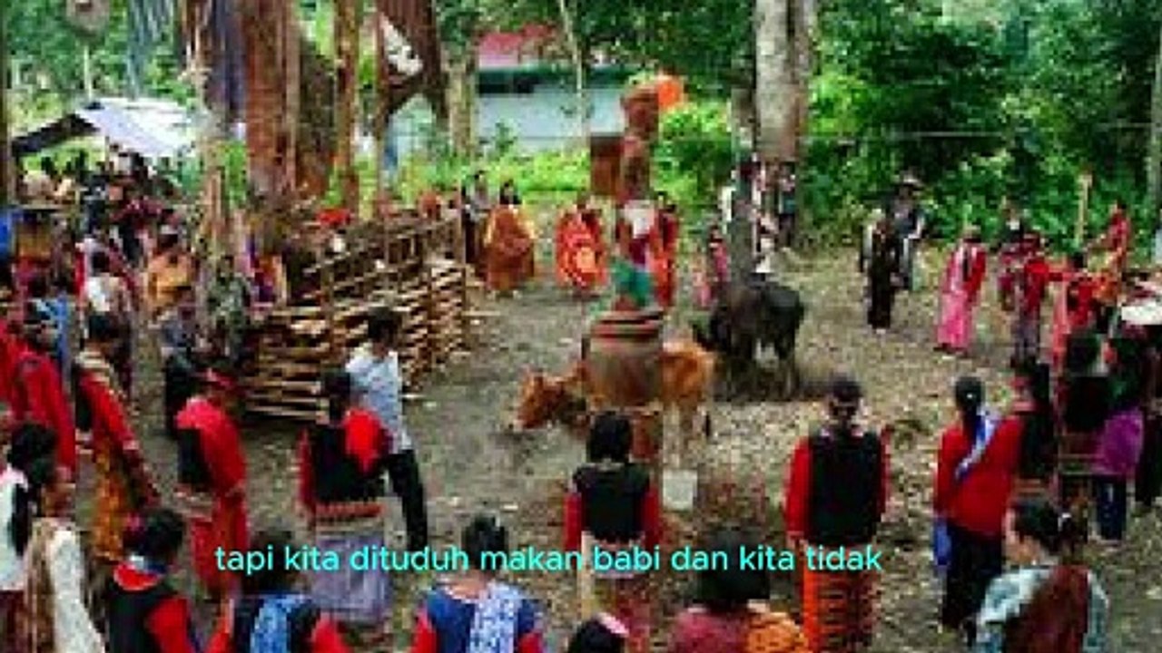 Parlemen Malaysia dari daerah pemilihan Borneo protes hate speech makanan daging babi dikaitkan perilaku sosial Suku Dayak
