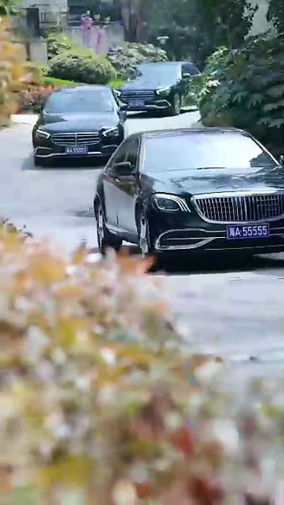 Ten Years of Sacrifice: Framed for the Adopted Son / They Chose Him Over Blood / From Trash to Throne /The Decoy Son / Jailed for their Golden Boy / Silent Asylum : The Adopted Son's Crime