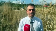 Türkiye'nin eşsiz cenneti yağmurlar ve kar sonrasında eski günlerine döndü