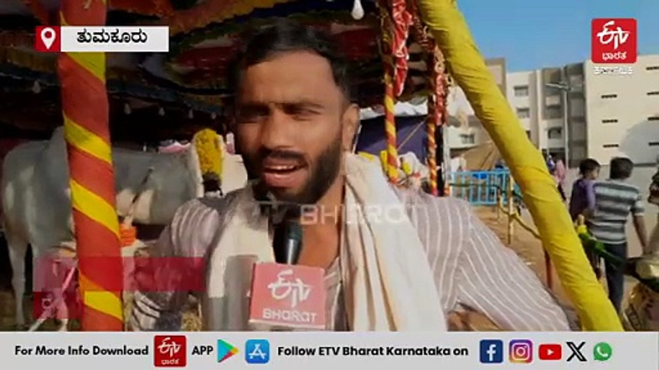 ತುಮಕೂರು: ಸಿದ್ದಗಂಗಾ ಮಠದಲ್ಲಿ ಜಾನುವಾರುಗಳ ಜಾತ್ರೆ: 18 ಲಕ್ಷದವರೆಗೂ ಮಾರಾಟ, ಸಾವಿರಾರು ಜೋಡೆತ್ತುಗಳ ಆಗಮನ