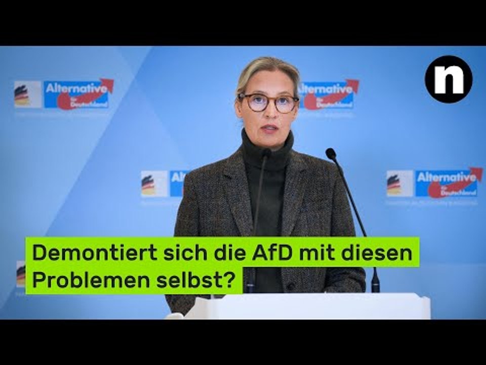 Vor Landtagswahlen 2026: Demontiert sich die AfD mit diesen Problemen selbst?