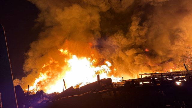 VIDEO | Incendio arrasa tejaban y marraneras en el Cerro de las Mitras en Santa Catarina