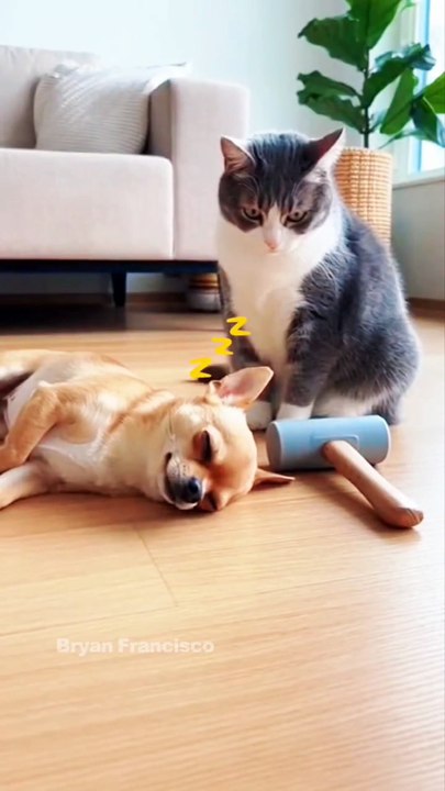 Cat, you can act very well