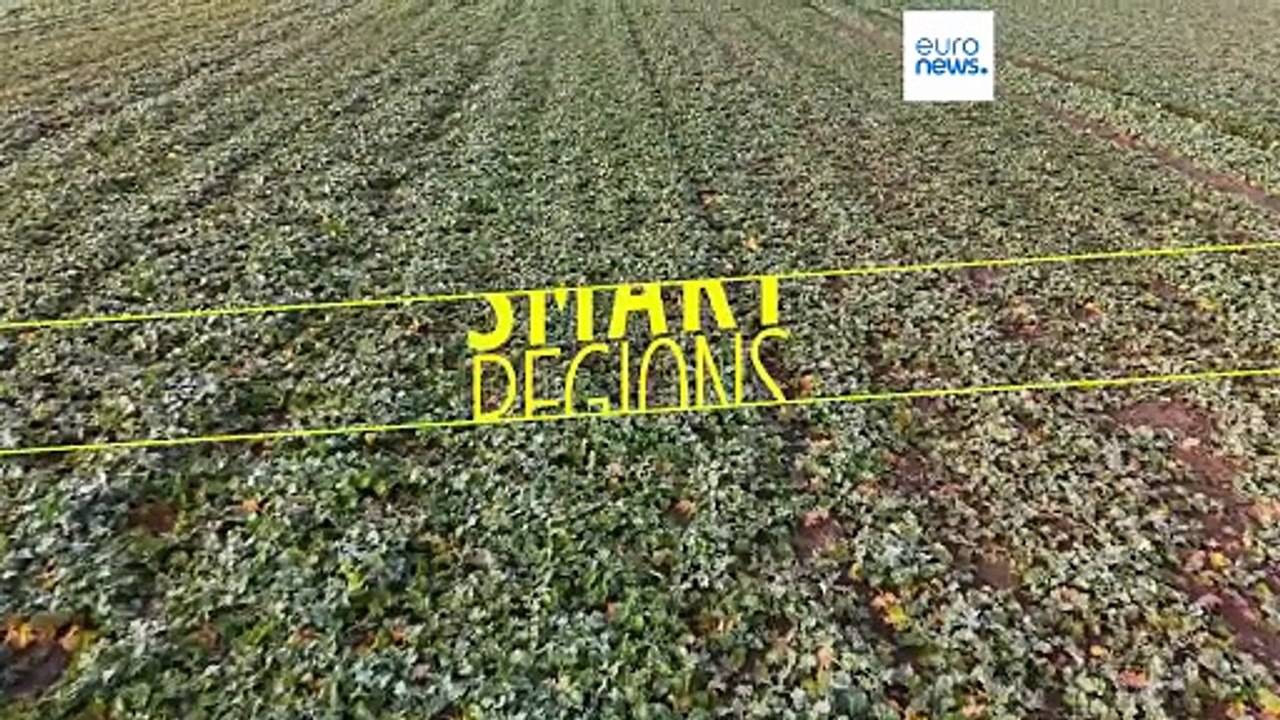 Wie Radardaten den Präzisionslandbau in Polen bei Bewölkung vorantreiben