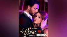 The Rose Comes with Thorns | Beauty, Pain, and Revenge
