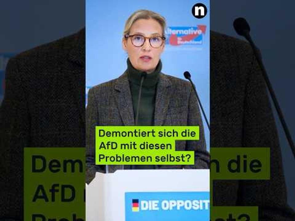 Vor Landtagswahlen 2026: Demontiert sich die AfD mit diesen Problemen selbst?