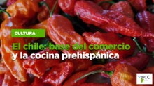El chile: base del comercio y la cocina prehispánica