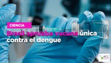 Brasil aprueba vacuna única contra el dengue