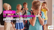El cerebro reacciona al presenciar acoso