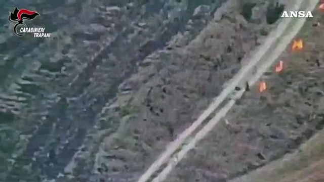 A fuoco 83 ettari di bosco nel Trapanese, arrestato un dipendente della Regione