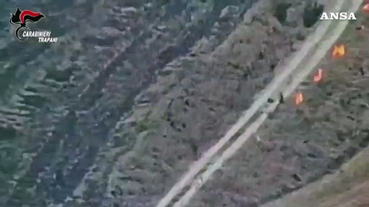 A fuoco 83 ettari di bosco nel Trapanese, arrestato un dipendente della Regione
