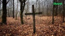 La forêt d’Anlier : là où les morts ont laissé une croix