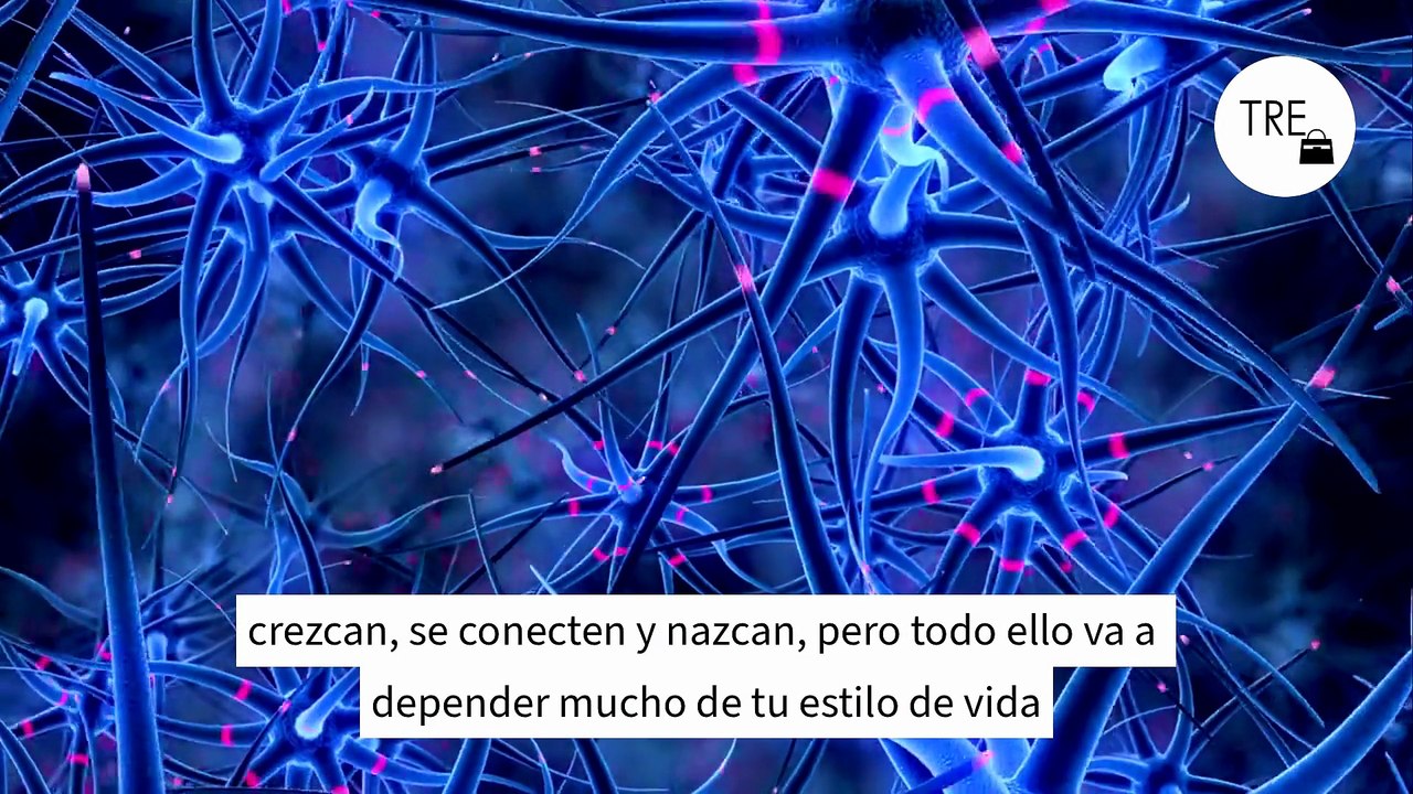 David Céspedes, médico experto en longevidad: "Los alimentos que si incluyes de forma habitual ayudan a proteger el cerebro, mantener la memoria y apoyar un envejecimiento cognitivo saludable"