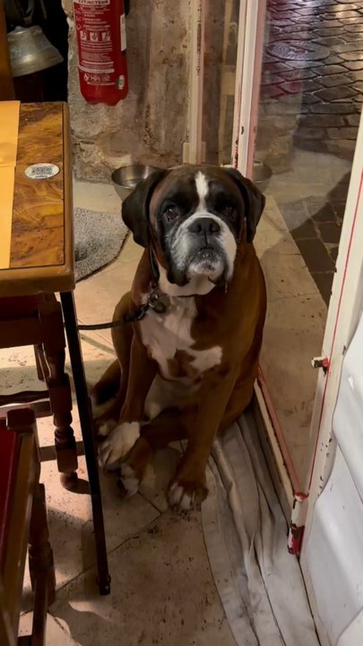 Me when I don’t have my sushi 🍣🥹