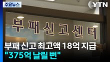 부패신고 최고액 18억 지급..."375억 날릴 뻔" / YTN