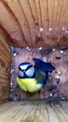 Confused about finding friends