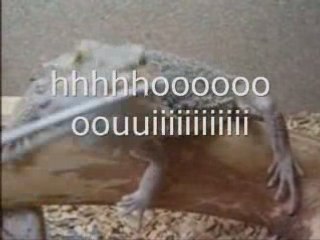 Montage final papi_0001