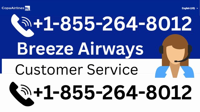 11 Ways To Access Breeze Airways Customer Service By Phone, Chat, And Email: A Step-by-step Guide