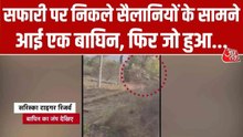 बाघिन ने आठ फुट ऊंचा फेंसिंग किया पार, पर्यटकों की थमी सांसे; Video