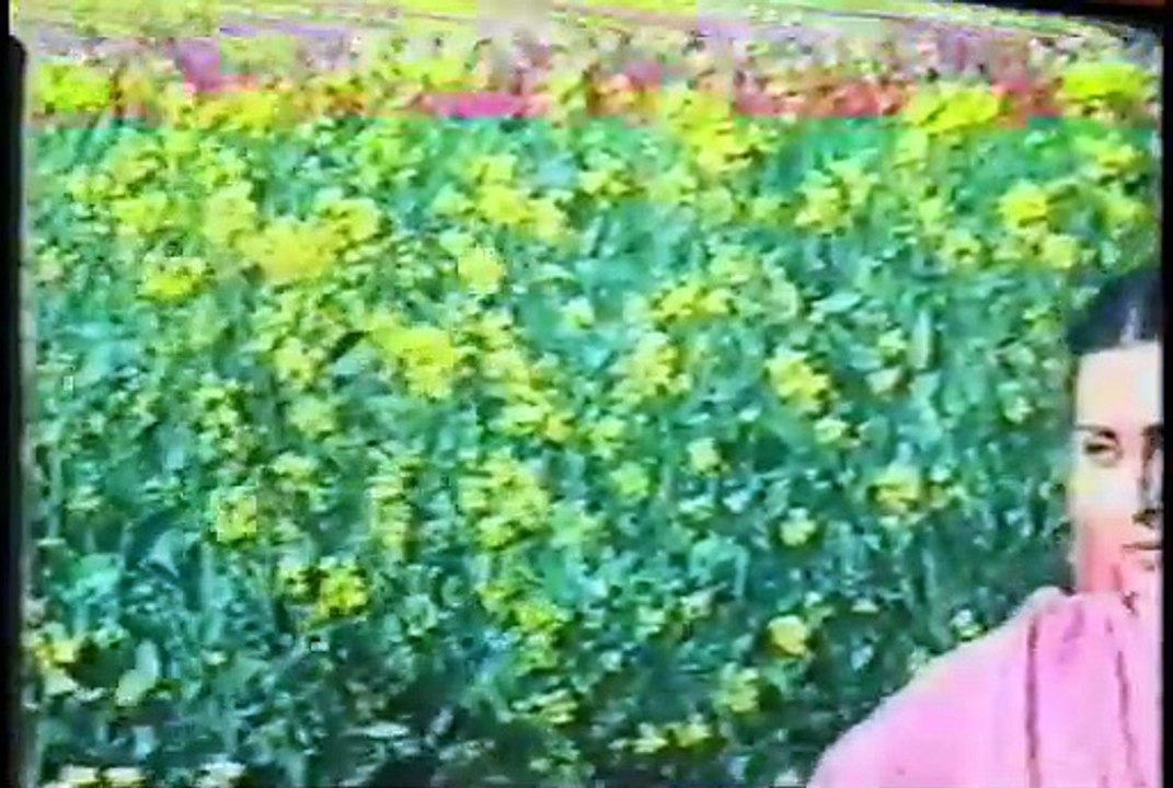 Sohni Mahiwal vhs Hindi Movie -Sunny Deol - Pran