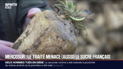 Accord Mercosur: les producteurs locaux de sucre français s'inquiètent