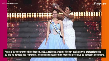 "Cela reste un lieu où..." : pourquoi Angélique Angarni-Filopon ne compte pas du tout reprendre son ancien métier d'hôtesse de l'air