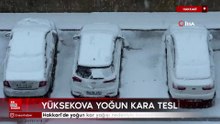 Hakkari yoğun kara teslim oldu