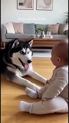 😅😅😅तुम जानते हो जापान अब “चलते कदमों” से बिजली बना रहा है! ⚡ जापान में अब ऐसी पाइज़ोइलेक्ट्रि (1)