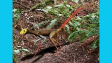 300 prehistoric creatures (video)