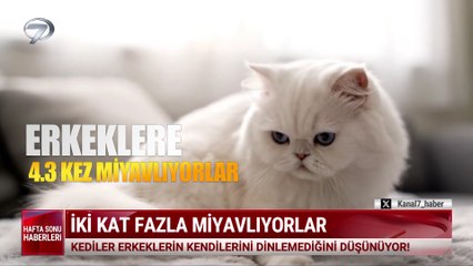Kanal 7 Hafta Sonu Haberleri - 7 Aralık 2025