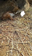 Do you also think the same?