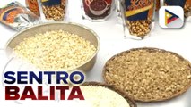 Industriya ng white corn sa Cagayan, patuloy na pinatatatag ng D.A.; mga magsasaka, hinahanapan ng market ng D.A. sa ilalim ng Sagip Saka Act | ulat ni Vel Custodio