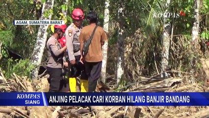 Anjing Pelacak K9 Gugur saat Bantu Pencarian Korban Bencana | KOMPAS SIANG