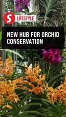 Launch of orchid garden in Shah Alam