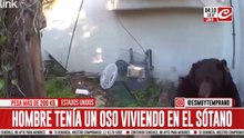 Hombre convivió varios meses con un oso sin darse cuenta