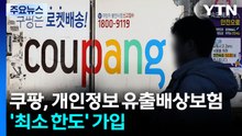 쿠팡, 개인정보 유출배상보험에 '최소 한도' 가입 / YTN