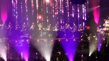 2017 - Johnny Hallyday Les Vieilles Canailles - Lille (10 juin)